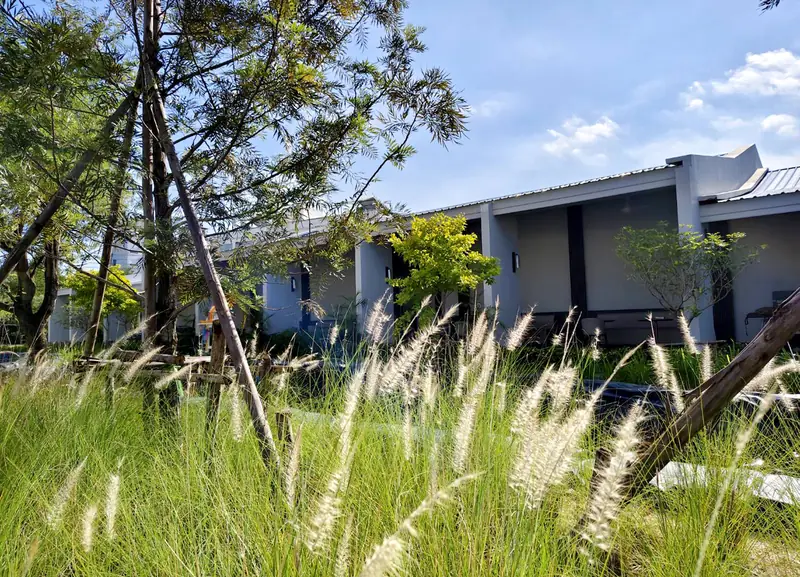 Garden and buildings at NKS Court
