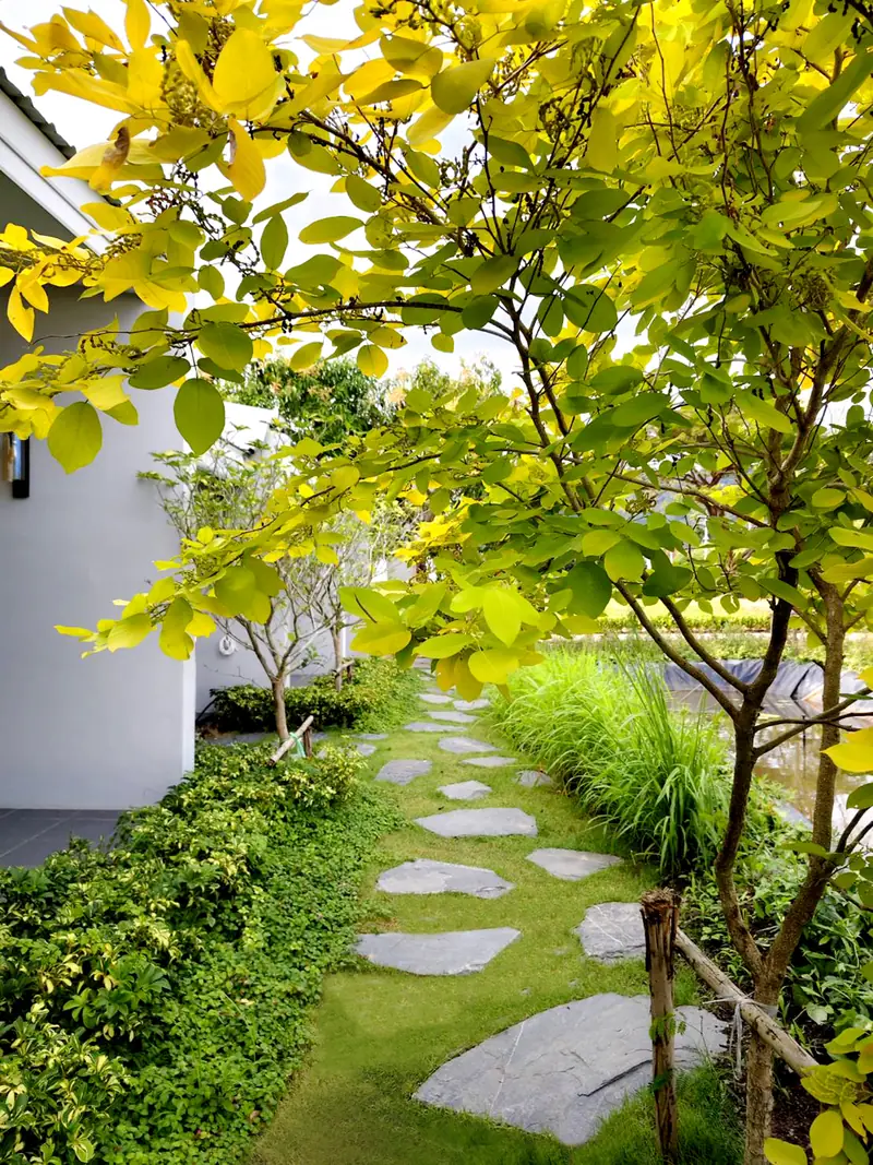 Garden and buildings at NKS Court